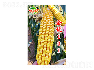 ����(y��u)101-���׷N��-�h���N�I(y��)